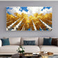 Golden Canopy Skyward Forest Painting