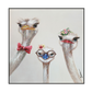 Quirky Ostrich Trio Portrait Painting #H0592
