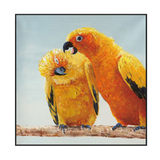 Golden Parrot Companionship Painting #I3724