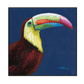Vibrant Toucan Portrait Painting #J0004