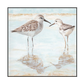Gentle Shorebird Reflection Painting #J3534