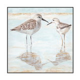 Gentle Shorebird Reflection Painting #J3534