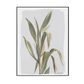Graceful Leaves Minimal Plant Art #M6752