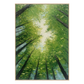 Emerald Canopy Light Forest Painting