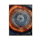 Wood Rings Cross-Section Textured Canvas Art