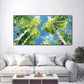 Looking Up Spring Birch Forest Abstract Painting